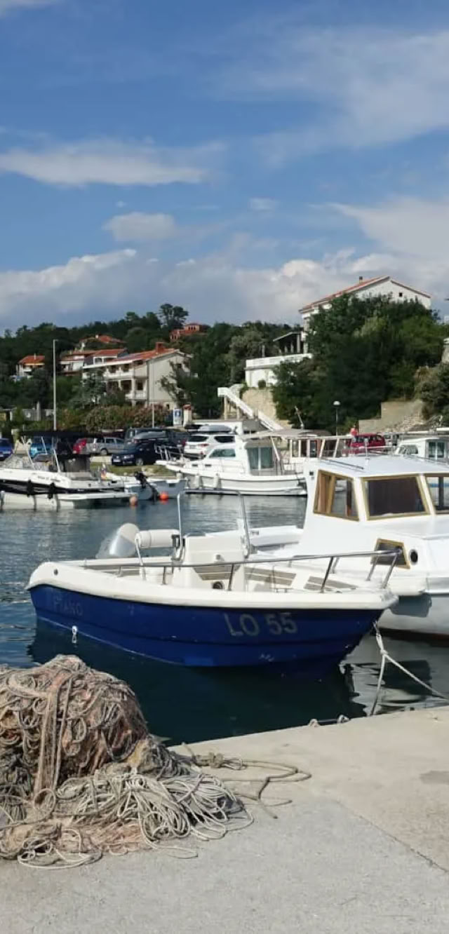 Villa Gehl din Lopar cu piscină, terase și împrejurimi